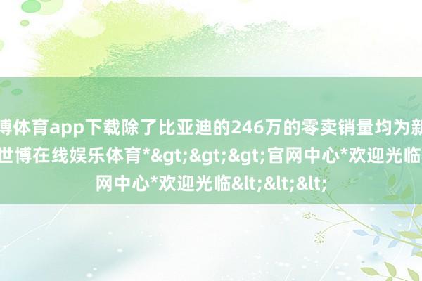 世博体育app下载除了比亚迪的246万的零卖销量均为新能源车孝顺-*世博在线娱乐体育*>>>官网中心*欢迎光临<<<