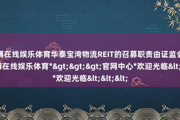 世博在线娱乐体育华泰宝湾物流REIT的召募职责由证监会稳当-*世博在线娱乐体育*>>>官网中心*欢迎光临<<<