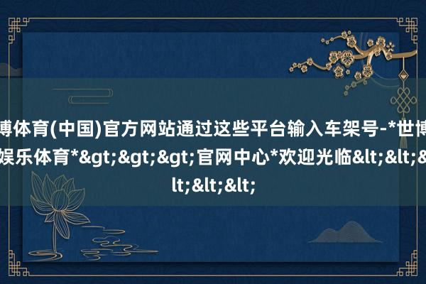 世博体育(中国)官方网站通过这些平台输入车架号-*世博在线娱乐体育*>>>官网中心*欢迎光临<<<
