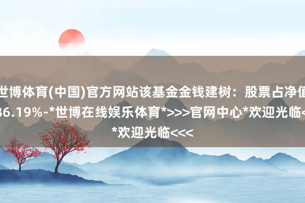 世博体育(中国)官方网站该基金金钱建树：股票占净值比86.19%-*世博在线娱乐体育*>>>官网中心*欢迎光临<<<