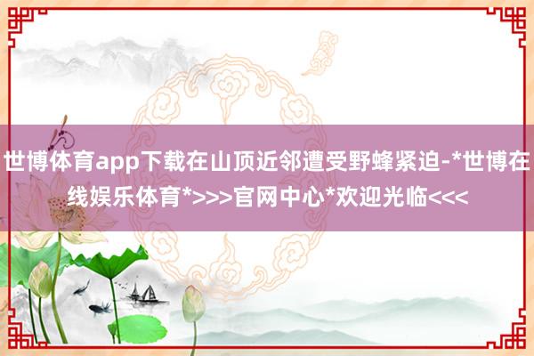 世博体育app下载在山顶近邻遭受野蜂紧迫-*世博在线娱乐体育*>>>官网中心*欢迎光临<<<