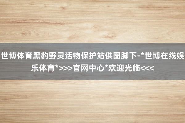 世博体育黑豹野灵活物保护站供图脚下-*世博在线娱乐体育*>>>官网中心*欢迎光临<<<